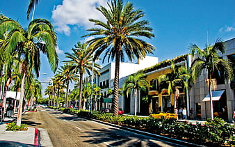 HD-wallpaper-rodeo-drive-beverly-hills-los-angeles-palms-summer-california-usa-thumbnail